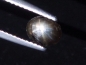 Preview: 12-strahliger Sternsaphir 0,90 Ct. heller Stern - sehr selten