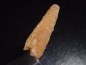 Preview: Pterosaurier Zahn - 3,5 cm - Siroccopteryx Pteranodon