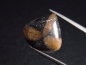 Preview: Chiastolite 11,83 Ct. pear cabochon Australia