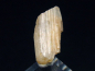 Preview: Phenakite crystal 16,5 mm - Piracicaba, Minas Gerais, Brazil