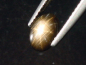 Preview: 12-strahliger Sternsaphir 1,17 Ct. heller Stern - sehr selten