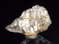 Preview: Phenakite crystal 17 mm rare - Jos Plateau