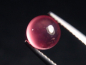 Preview: Rhodochrosit 1,80 Ct. Rund Cabochon - Kuruman, Südafrika
