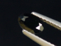 Preview: Neptunite 0,55 Ct. facet cut - San Benito Co., California, USA