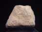 Preview: Saltasaurus egg shell 39 mm - 70 million years