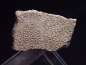 Preview: Saltasaurus egg shell 30 mm - 70 million years
