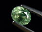 Preview: Demantoid Garnet 0,59 Ct. - Namibia