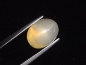 Preview: Sternmondstein / Stern Mondstein 9,61 Ct. Oval Cabochon