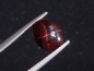 Preview: Star Garnet 6,88 Ct. four ray star cabochon India fine