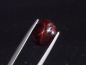Preview: Sterngranat 7,29 Ct. 4-strahliger Stern Cabochon Indien fein