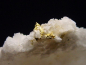 Preview: Gold kristallin in Quarz / Goldstufe 21 mm - Brusson, Val d'Aosta, Italien