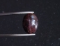 Preview: Sterngranat 18,13 Ct. 4-strahliger Stern Cabochon Indien