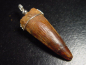 Preview: Spinosaurus tooth pendant 925 silver - 5,4 cm - Spinosaur Dinosaur