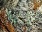 Preview: Emerald crystal specimen 65 mm - Habachtal, Austria