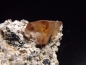 Preview: Topaz specimen 58 mm - Zacatecas, Mexico