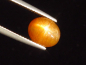 Preview: Star Sunstone 3,58 Ct. oval cabochon India