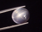 Preview: Star Rose Quartz 12,47 Ct. cabochon cut