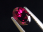 Preview: Rhodolite Garnet 1,11 Ct. oval Sri Lanka