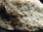 Preview: Phenakite specimen 34 mm - Wheeler Peak Mine, Nevada, USA