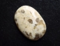 Preview: Serpentinite 29,94 Ct. oval cabochon India