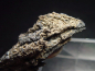 Preview: Silber Stufe 41 mm reiche Silberader - Potosi, Bol.