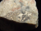 Preview: Silber Stufe 40 mm reiche Silberader - Garpenberg, Schweden