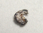 Preview: Silber gediegen 5 mm - San Martin, Mexiko