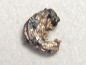 Preview: Silber gediegen 5 mm - San Martin, Mexiko