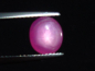 Preview: Star Ruby 2,61 Ct. oval cabochon - rosered - treated