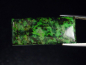 Preview: Spotted Jade 22,05 Ct. cabochon - Monte Viso, Piemont, Italy