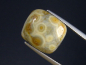 Preview: Jasper 11,33 Ct. cushion cabochon