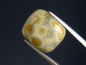 Preview: Jasper 11,33 Ct. cushion cabochon