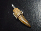 Preview: Spinosaurus tooth pendant 925 silver - 4,0 cm - Spinosaur Dinosaur