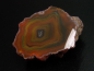 Preview: Agate 63 mm fine color contrast Brazil