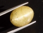Preview: Apatit Katzenauge 20,70 Ct. - Oval Cabochon - Brasilien