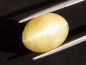 Preview: Apatit Katzenauge 20,70 Ct. - Oval Cabochon - Brasilien