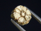 Preview: Trapiche Cordierit, Cerasit / Kirschblütenstein 6,5 mm selten Kyoto, Japan
