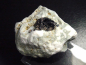 Preview: Neptunit Stufe 53 mm - San Benito Co., Kalifornien, USA