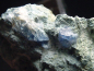 Preview: Benitoit Stufe 36 mm - San Benito Co., Kalifornien, USA