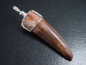Preview: Spinosaurus tooth pendant 925 silver - 5,7 cm - Spinosaur Dinosaur