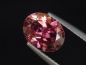Preview: Rubellite Tourmaline / red Tourmaline 2,39 Ct. Oval 10 x 8 mm Brazil