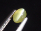 Preview: Chrysoberyl cat's eye 0,34 Ct. cabochon B-quality