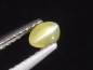 Preview: Chrysoberyl cat's eye 0,34 Ct. cabochon B-quality