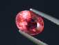 Preview: Rubellite / red Tourmaline 1,33 Ct. oval Brazil
