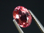 Preview: Rubellit / roter Turmalin 1,26 Ct. Oval 8 x 6 mm Brasilien