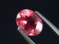 Preview: Rubellit / roter Turmalin 1,49 Ct. Oval 8 x 6 mm Brasilien