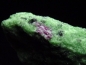 Preview: Ruby in Zoisite specimen 59 mm - Longido, Tanzania