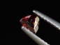 Preview: Rutile 0,28 Ct. rust red faceted - Minas Gerais, Brazil B-quality