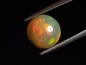 Preview: Opal / Edelopal 3,36 Ct. feines Farbenspiel - Rund Cabochon