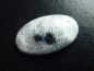 Preview: Dendritenopal 43,12 Ct. Oval Cabochon Indien